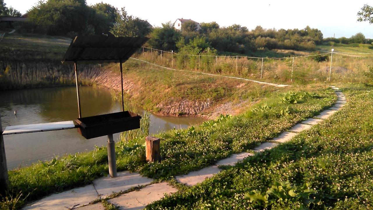 Barbecue House Villa Vinnicja Kültér fotó