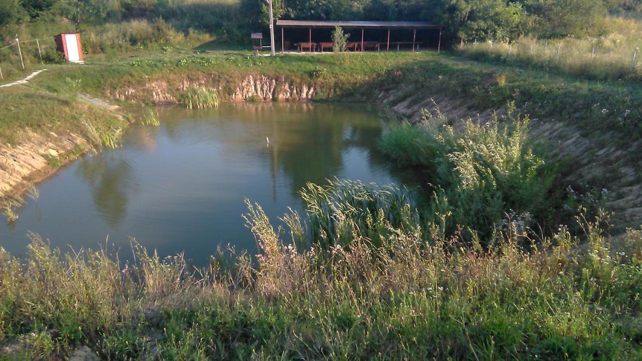 Barbecue House Villa Vinnicja Kültér fotó